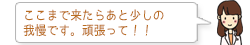 ここまで来たらあと少しの 我慢です。頑張って！！