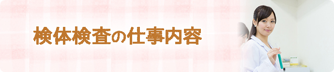 検体検査の仕事内容